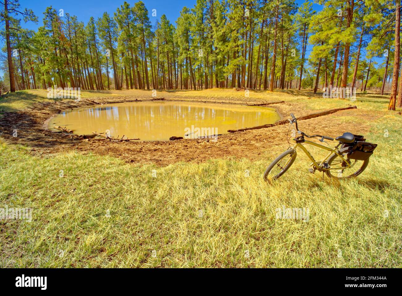 Bike parked by Dry Lake Tank, Mingus Mountain near Jerome, Arizona, USA Stock Photo