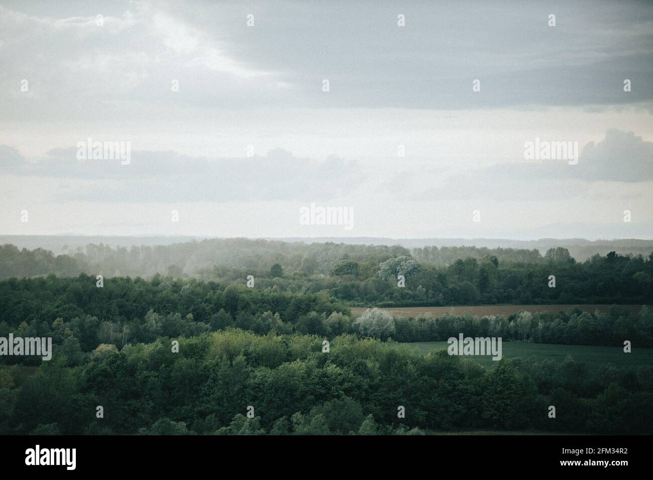View With Tree Beautiful view of a green landscape with trees and plants Stock Photo ...
