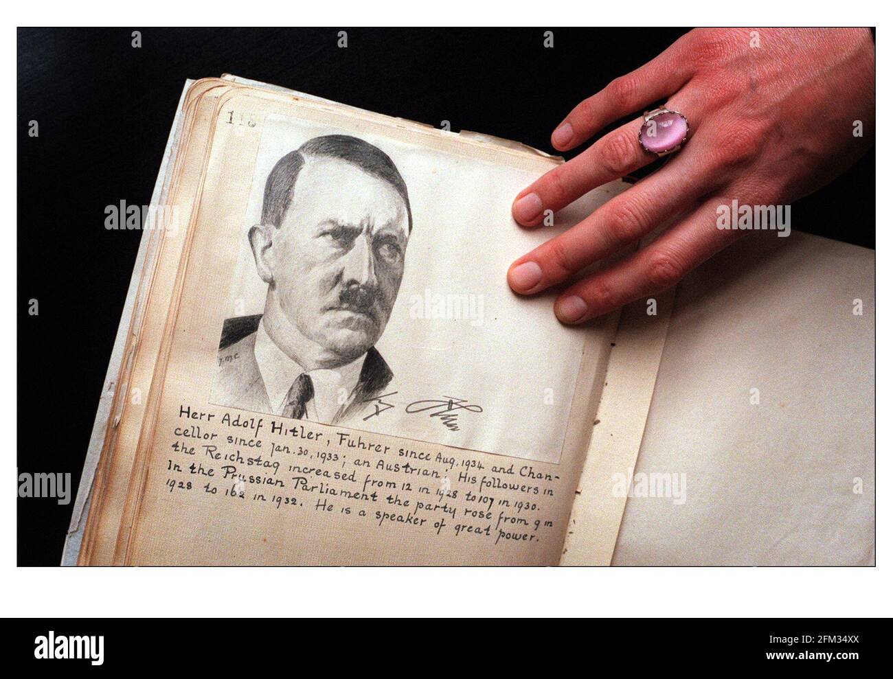 Adolf hitler portrait Cut Out Stock Images & Pictures - Alamy