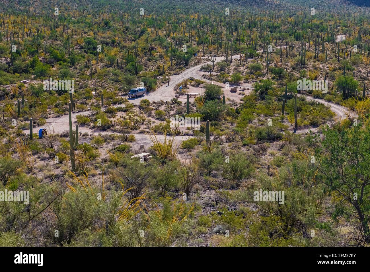 The Sus Picnic Area was developed by the Civilian Conservation Corps during the Great Depression, Saguaro National Park, Tucson Mountain District, Ari Stock Photo