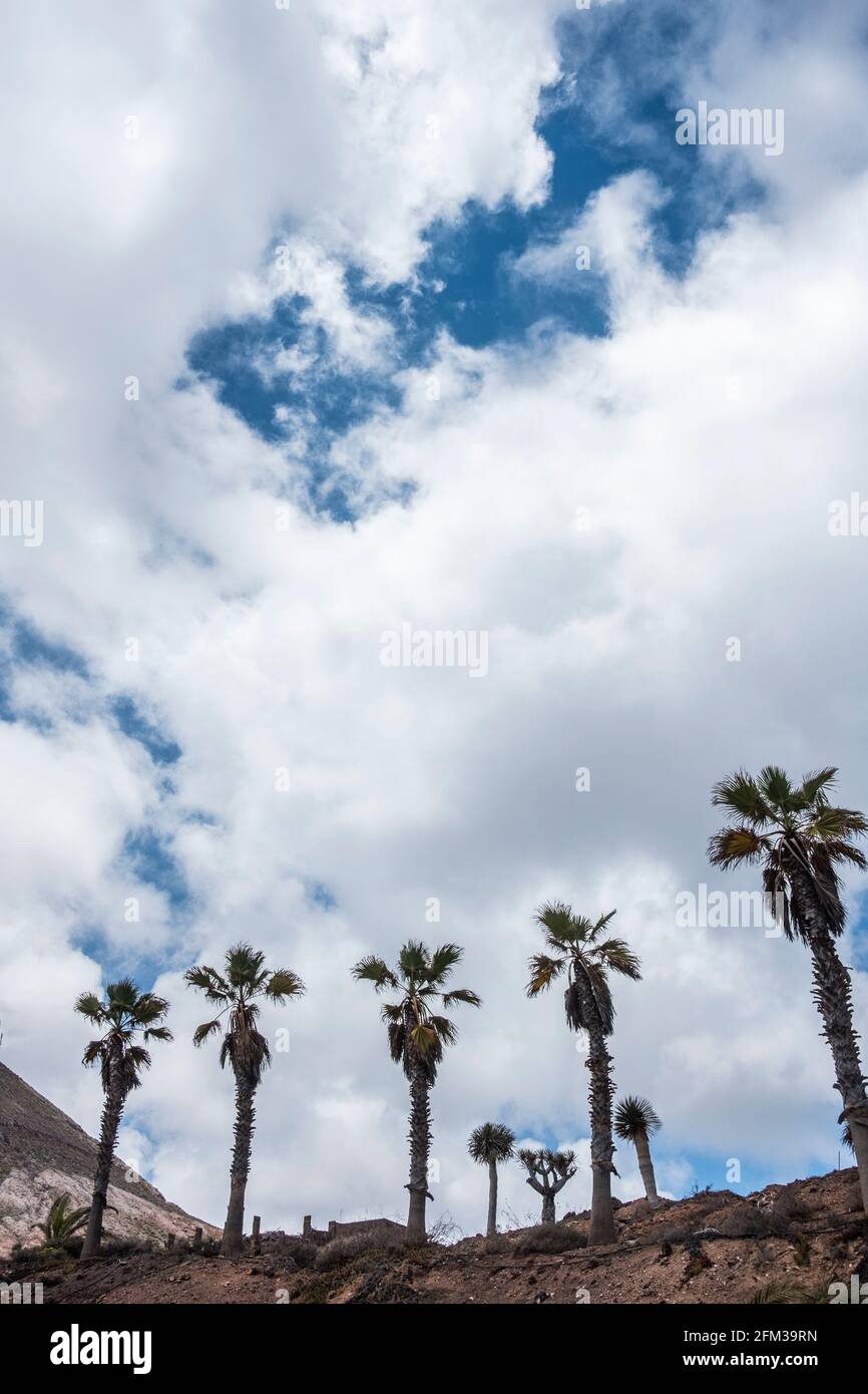 Gran Canaria, eine spanische Kanarische Insel vor der Nordwestküste von Afrika. El Sobradillo. Stock Photo