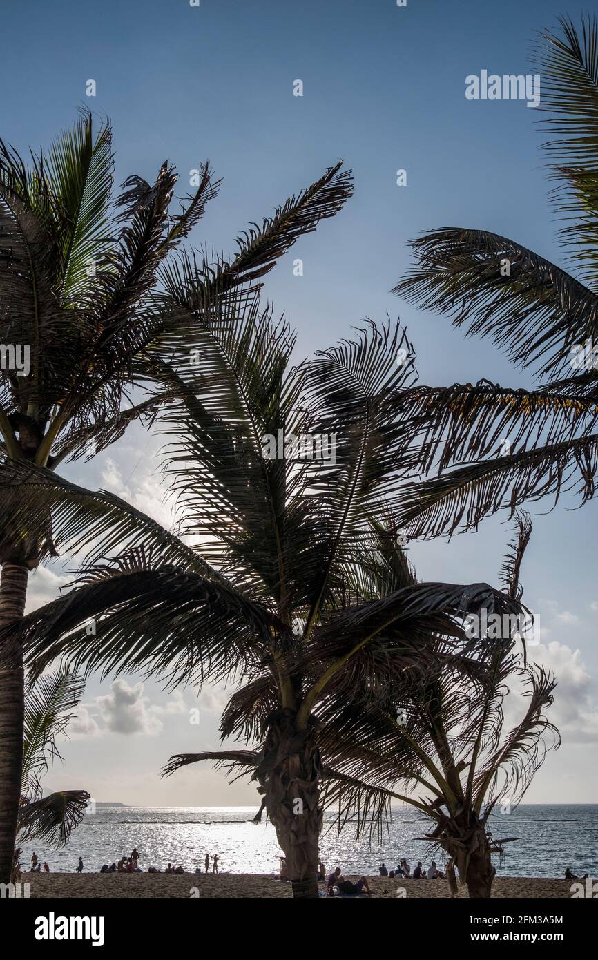 Gran Canaria, eine spanische Kanarische Insel vor der Nordwestküste von Afrika. Las Palmas de Gran Canaria mit Strand Las Canteras. Stock Photo