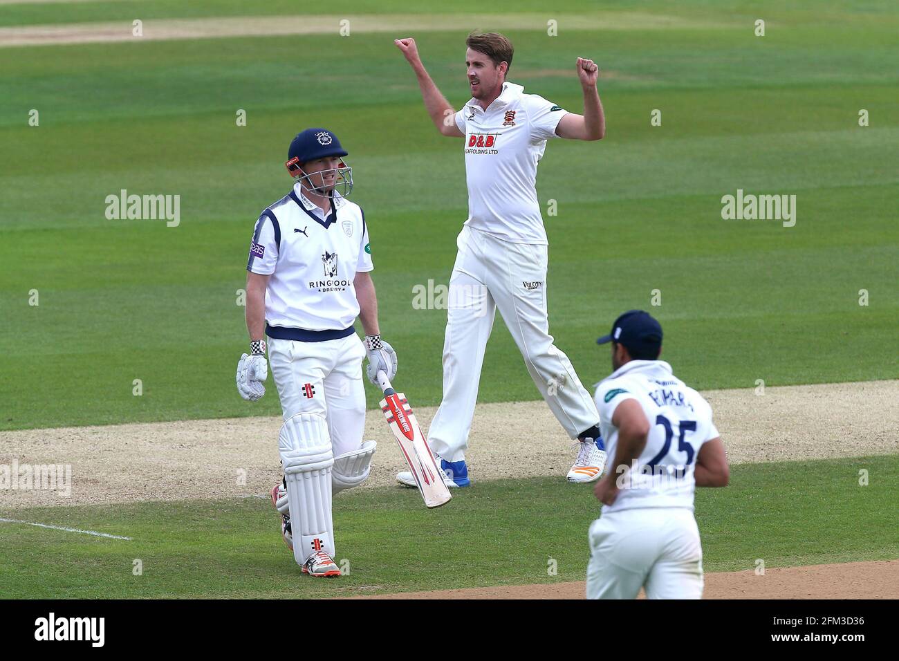 Matthew Quinn of Essex celebrates taking the wicket of George Bailey during Essex CCC vs Hampshire CCC, Specsavers County Championship Division 1 Cric Stock Photo