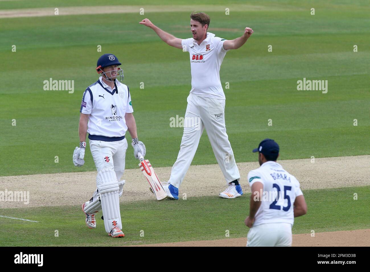 Matthew Quinn of Essex celebrates taking the wicket of George Bailey during Essex CCC vs Hampshire CCC, Specsavers County Championship Division 1 Cric Stock Photo