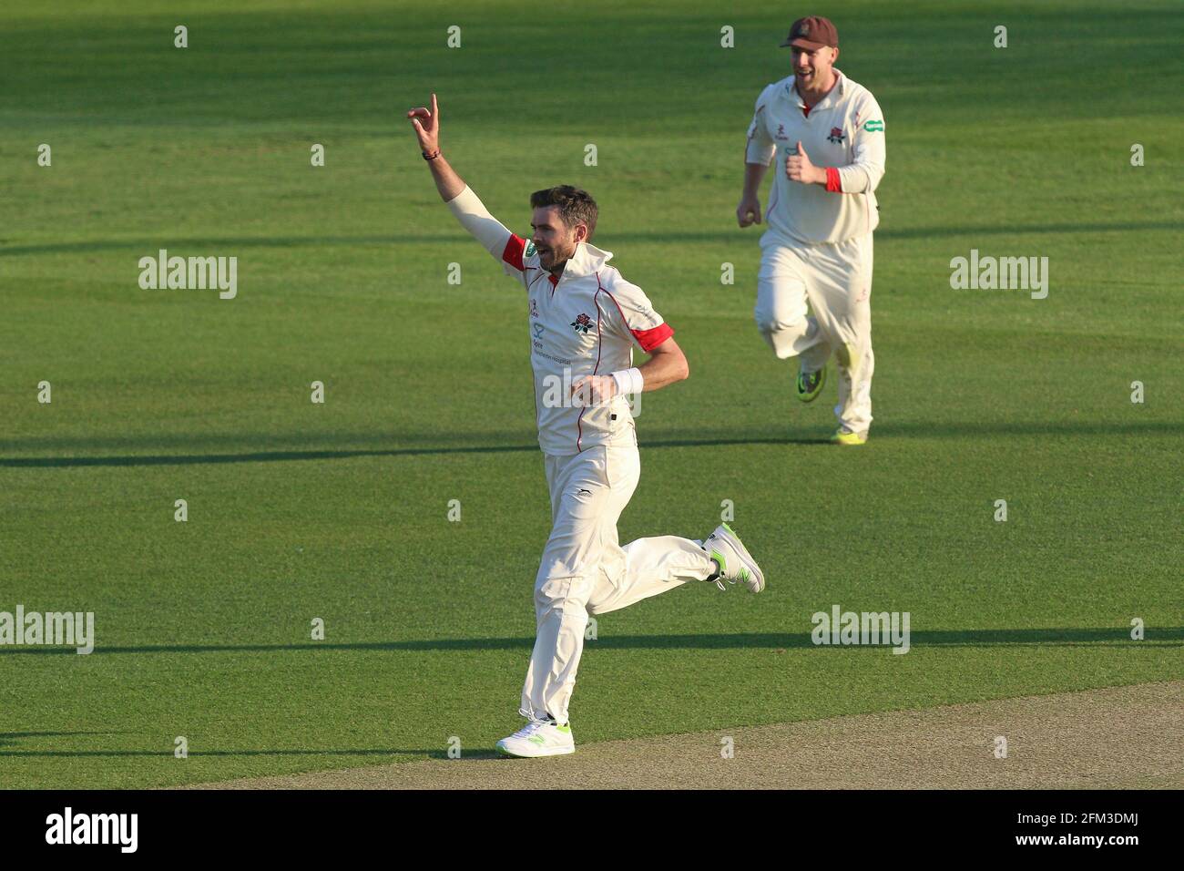 Jimmy Anderson of Lancashire celebrates taking the wicket of Aaron Beard during Essex CCC vs Lancashire CCC, Specsavers County Championship Division 1 Stock Photo