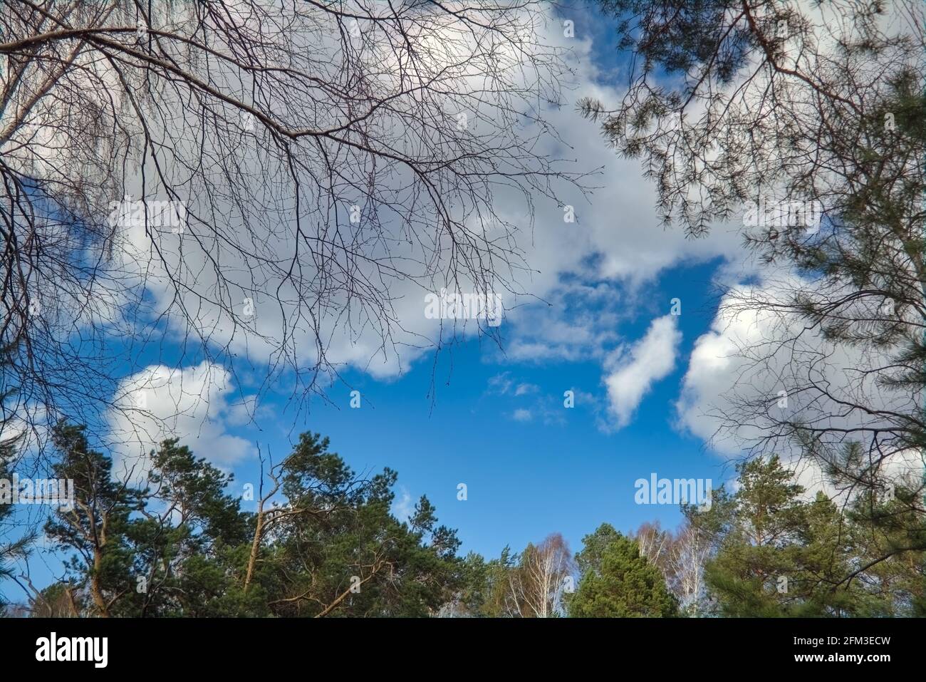 White fluffy clouds in the blue sky. Blue summer sky with white cumulus ...