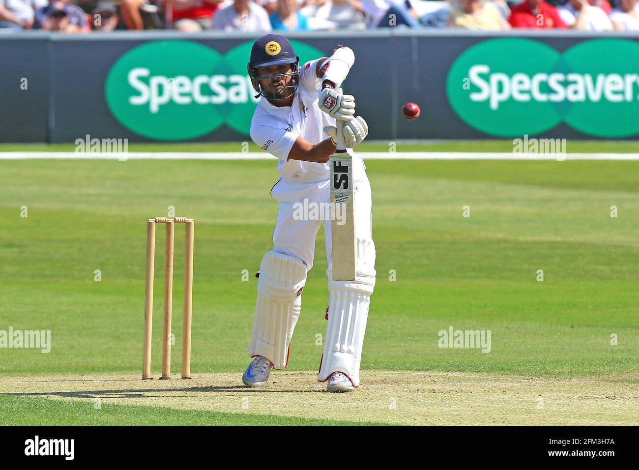 Dinesh Chandimal of Sri Lanka in batting action during Essex CCC vs Sri Lanka, Tourist Match Cricket at the Essex County Ground on 8th May 2016 Stock Photo