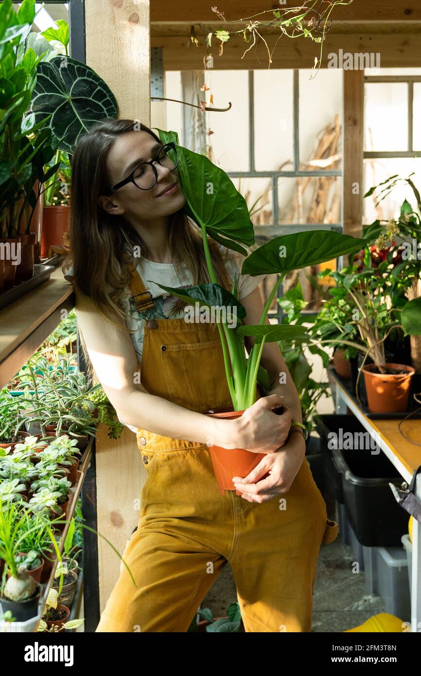 Florist woman in house garden hold pot with plant. Satisfied gardener enjoy caring of houseplants Stock Photo