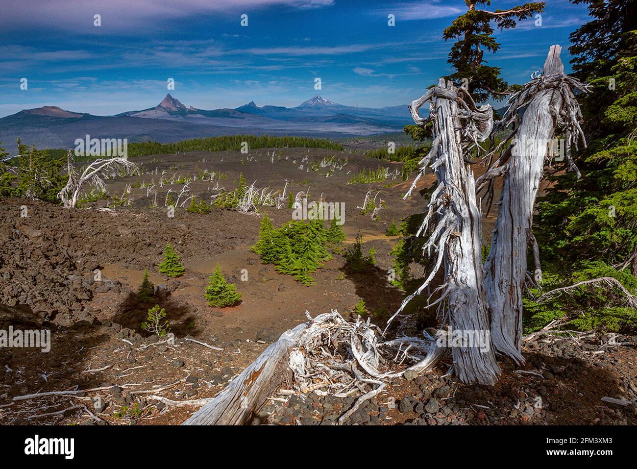 Belknap Lava Field, Three Sisters Wilderness, Mt. Washington, Three Fingered Jack, Mt. Jefferson, Mt. Hood, Volcano Row, Willamette-Deschutes National Stock Photo