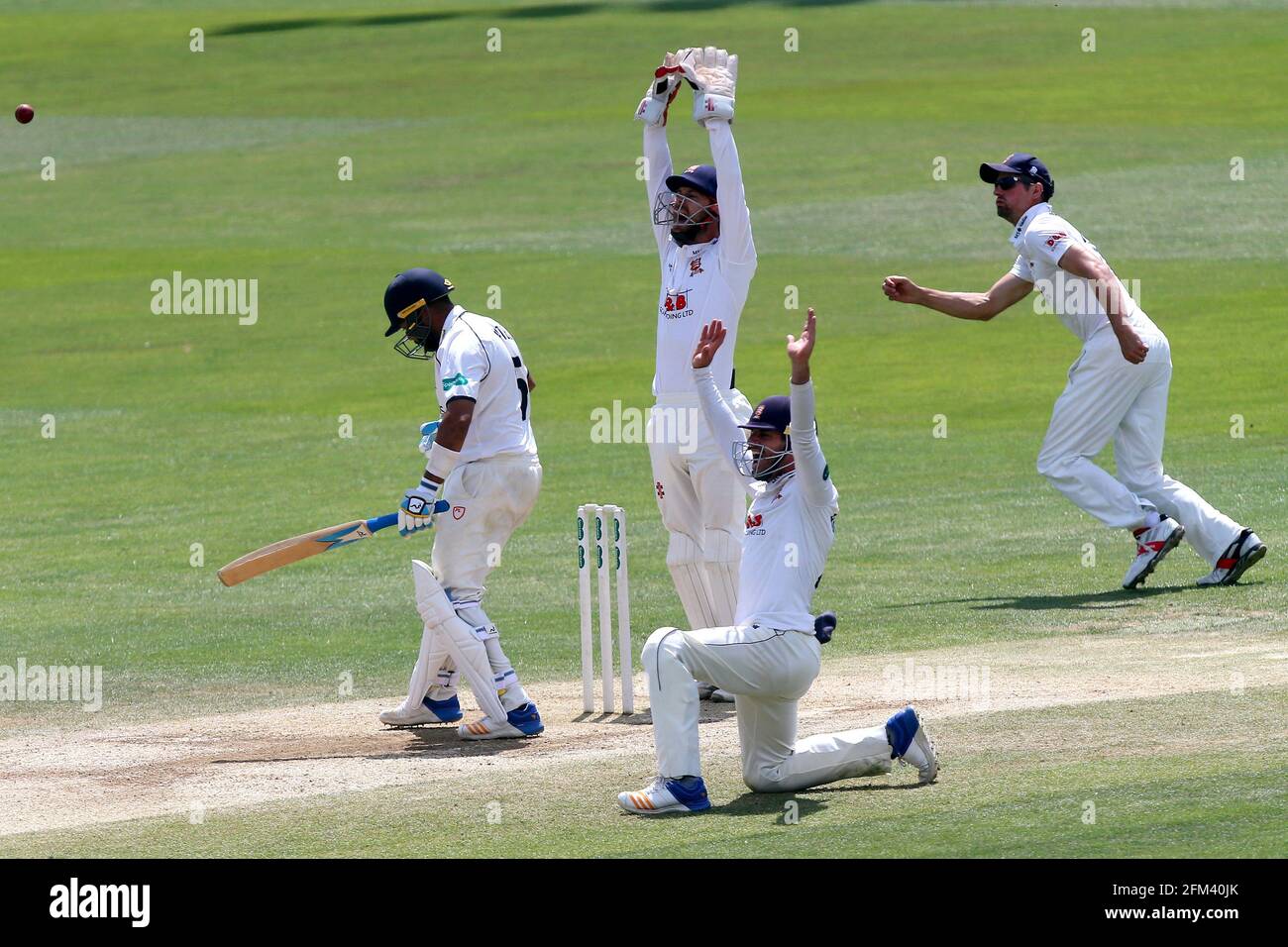 Essex players appeal successfully for the wicket of Jeetan Patel during Essex CCC vs Warwickshire CCC, Specsavers County Championship Division 1 Crick Stock Photo