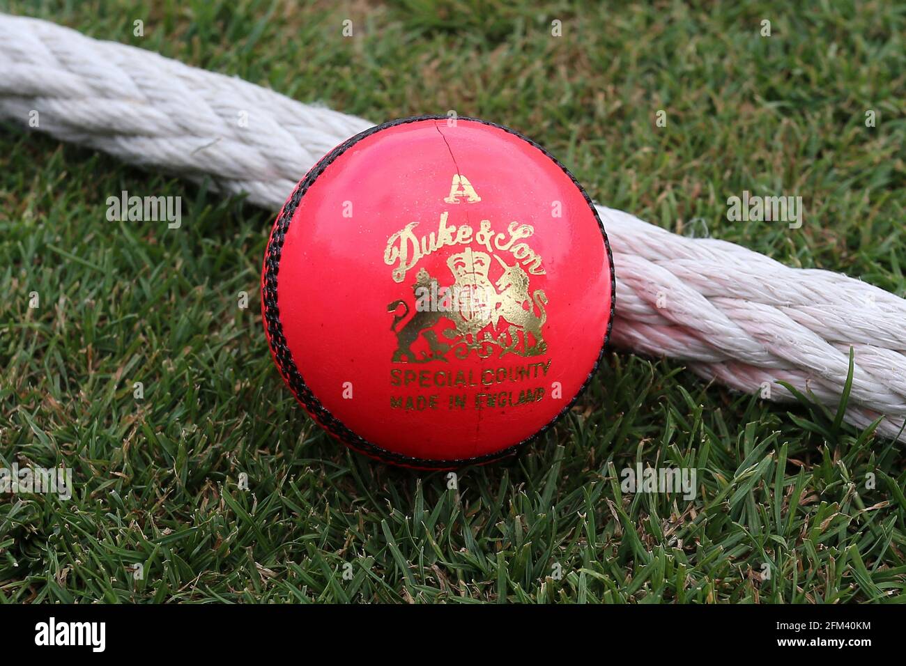 ea cricket 2007 pink ball ea cricket 2007 pink ball