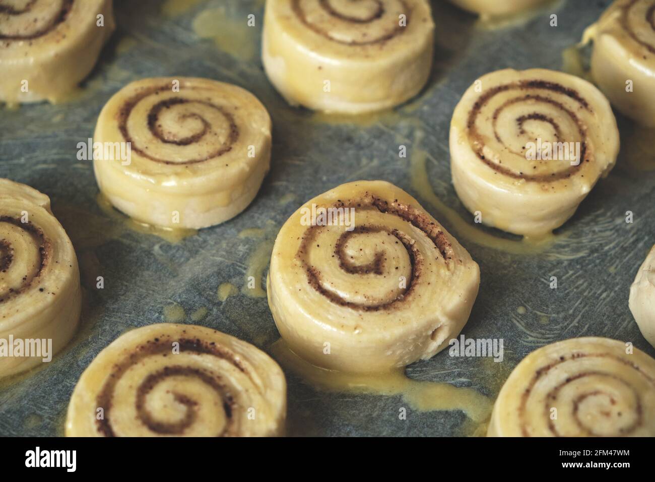Blanks for baking cinnamon rolls on baking sheet with parchment paper Stock Photo