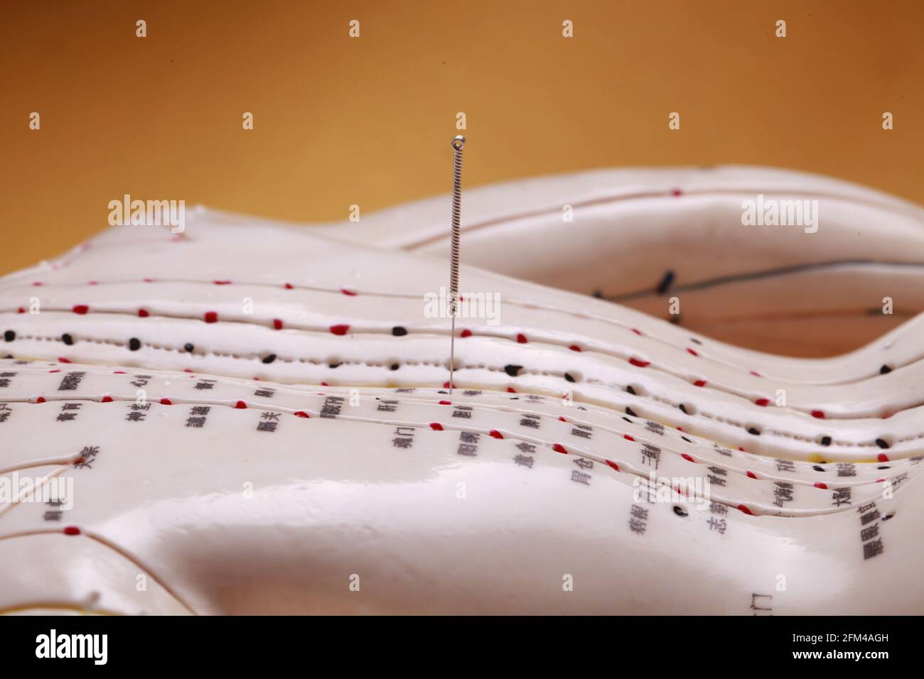 Acupoints hi-res stock photography and images - Alamy