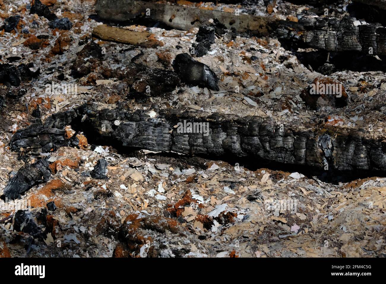 Burnt wood and ash after catastrophic fire in wooden garden building. Stock Photo