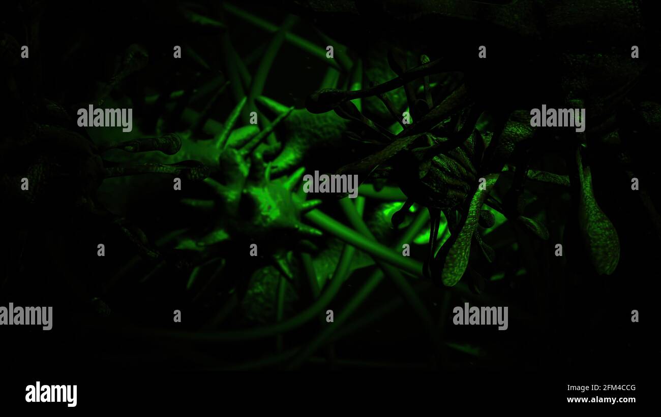 3D illustration of fast flight through the brain Stock Photo - Alamy