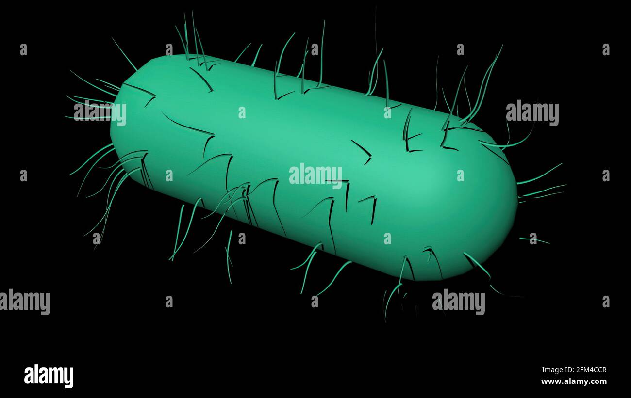 3D illustration Bacteria cells science 3d This image may be used to