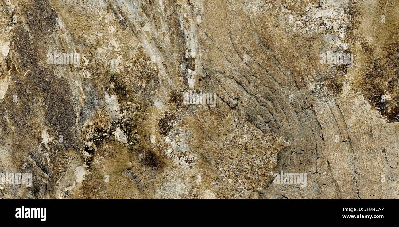 yellowish brown color stone texture polished finish with natural veins high resolution marble design Stock Photo