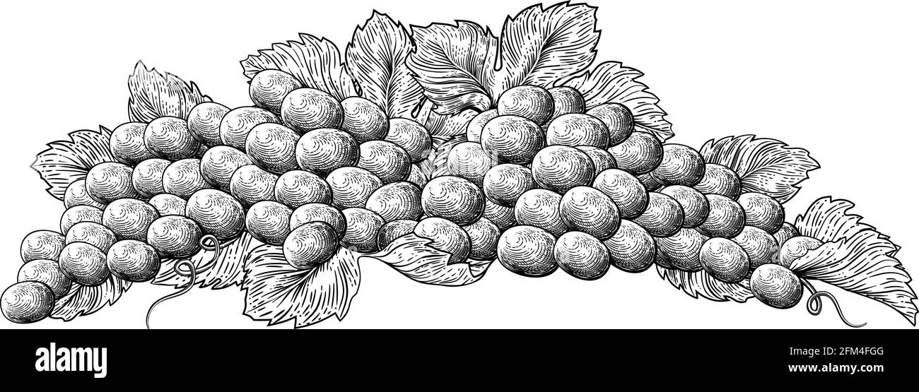 Grapes Bunch Vine And Leaves Woodcut Etching Style Stock Vector