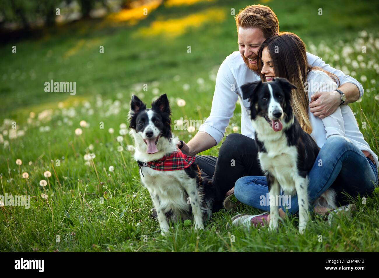 Happy couple playing with dog in the park outdoor Stock Photo - Alamy