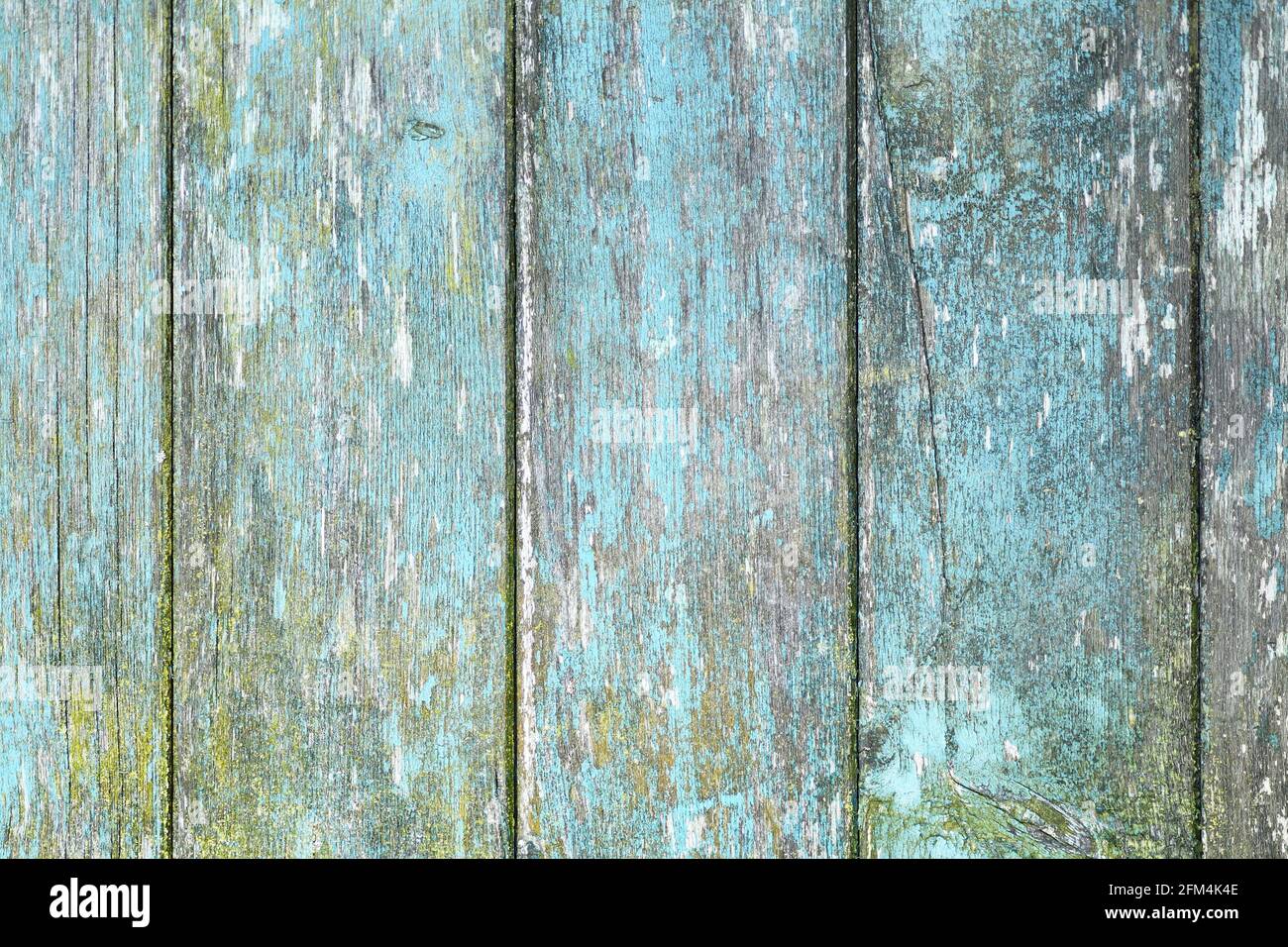 Wooden planks background with teal blue and yellow colored old weathered planks with chipped paint Stock Photo