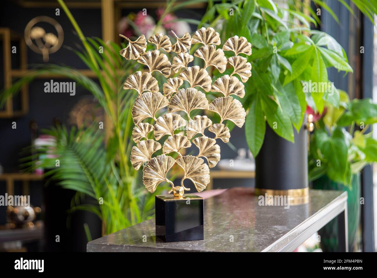 house interior design with decorative objects and plants Stock Photo ...