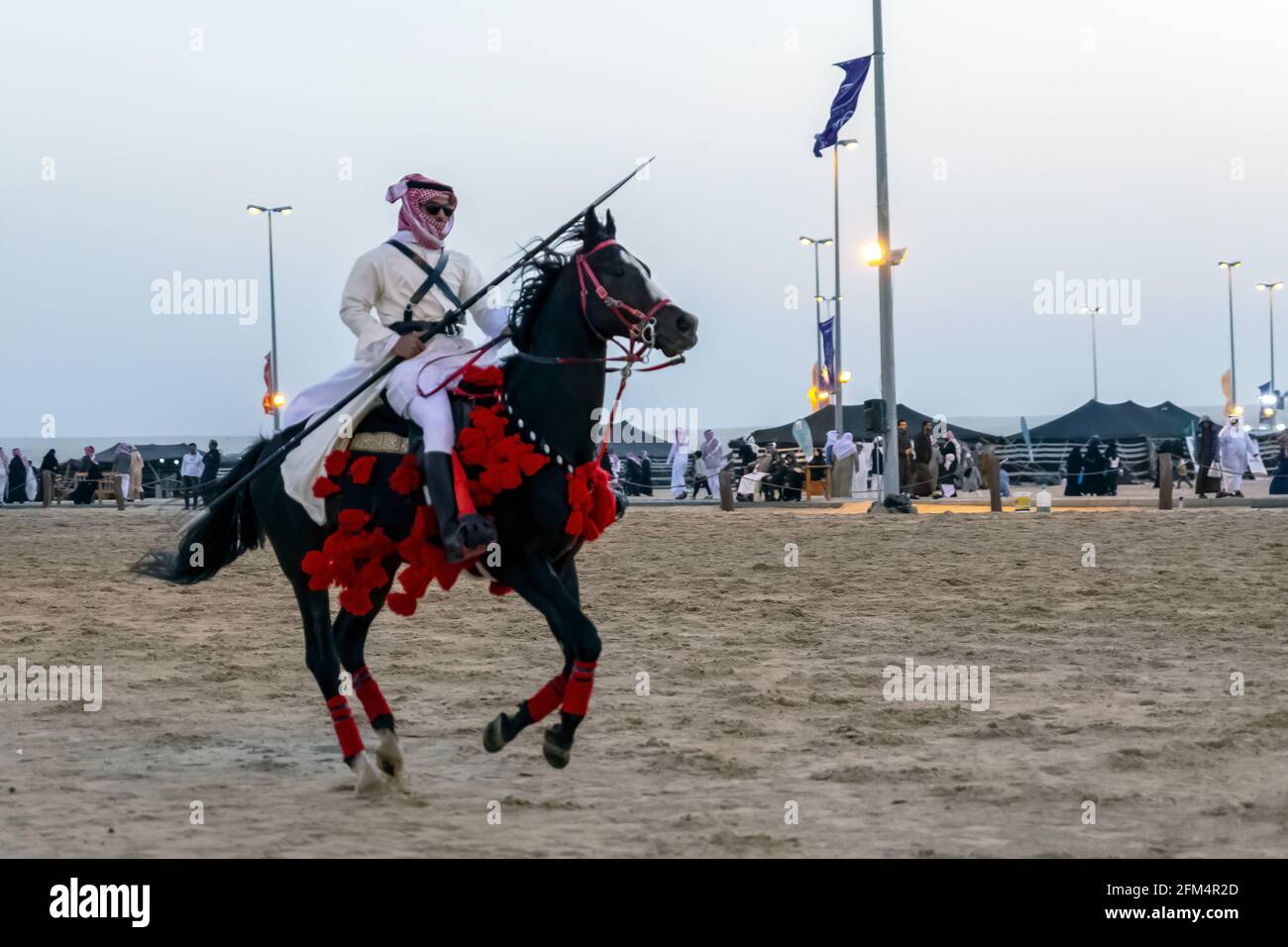 Desert  safari camel ride festival in Abqaiq Dammam Saudi Arabia. Stock Photo