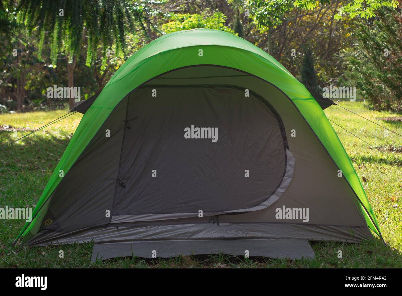 Green tent on the meadow under sunligh Stock Photo - Alamy