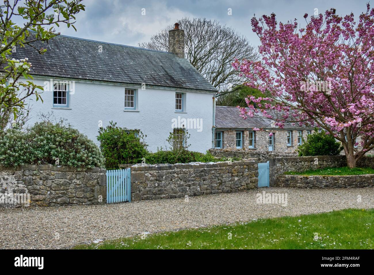 National Trust holiday Cottages at Stackpole Quay near  Bosherton, Pembrokeshire, Wales (taken from the road). Stock Photo
