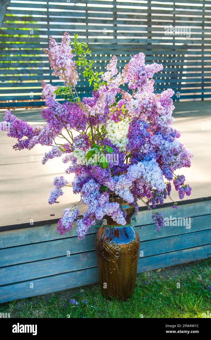 Purple Lilac flowers bouquet in a vase outdoors Stock Photo - Alamy