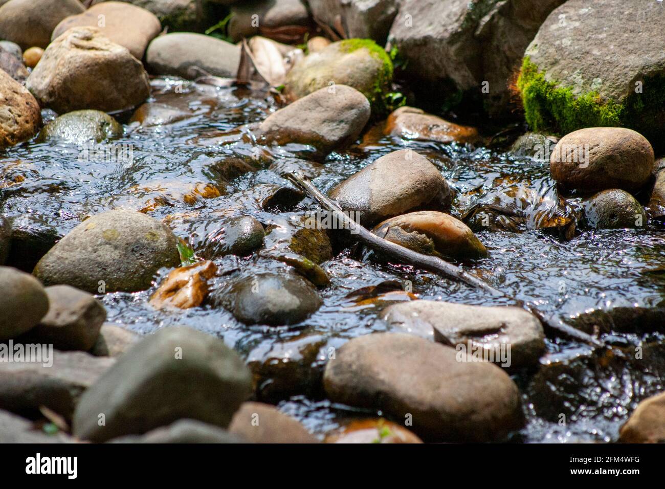 Water in a creek Stock Photo Alamy