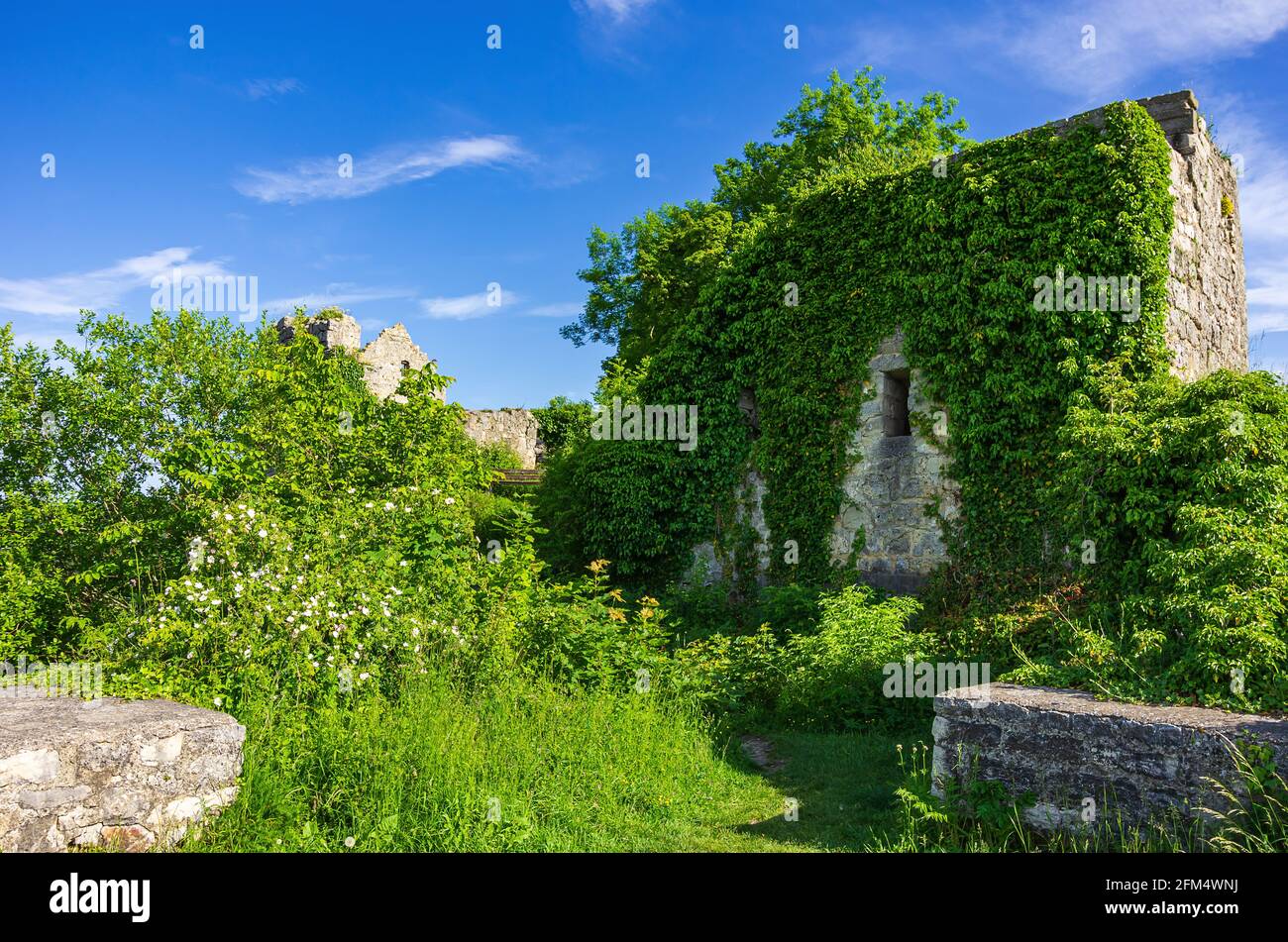 Medieval castle ruins of Hohenurach, Bad Urach, Swabian Alb, Baden-Württemberg, Germany. Stock Photo