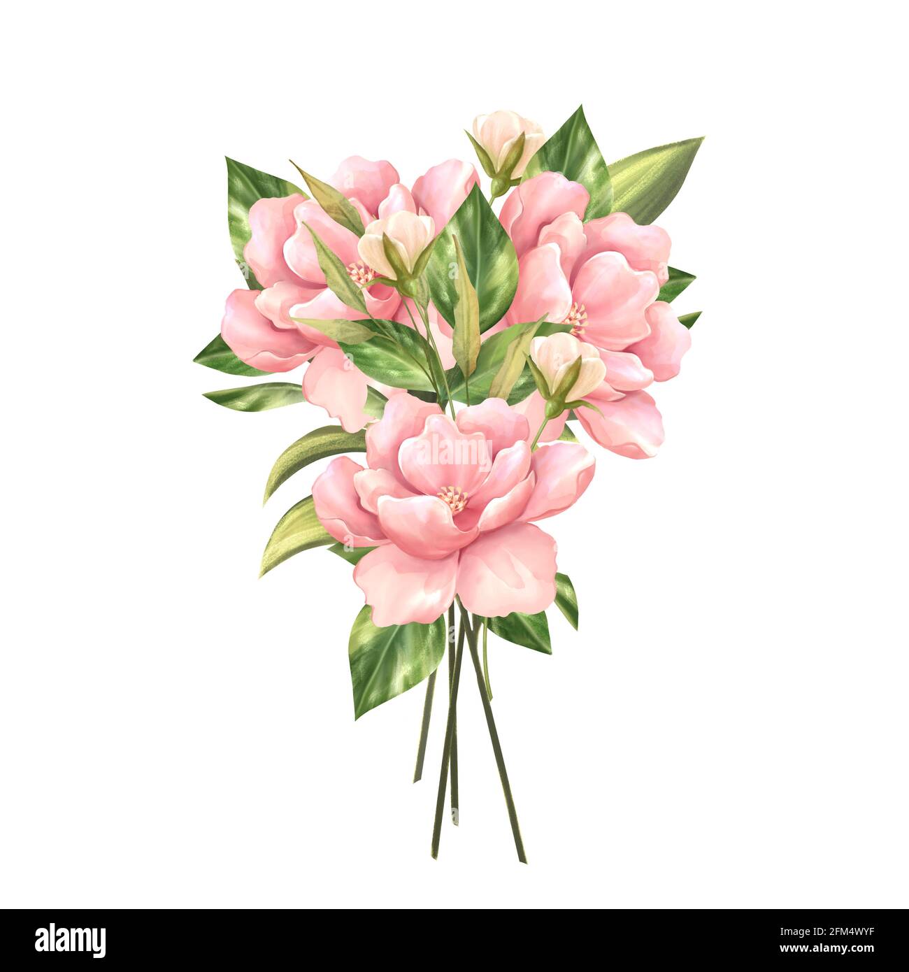 Pink flowers in pastel colors. Bouquet of flowers isolated on white ...
