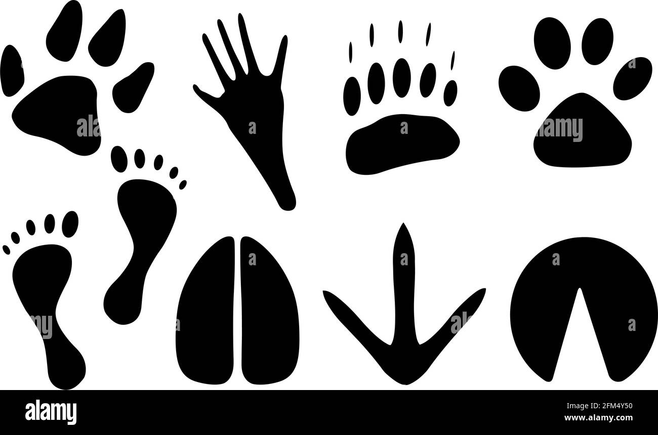 set of different animal tracks Stock Vector