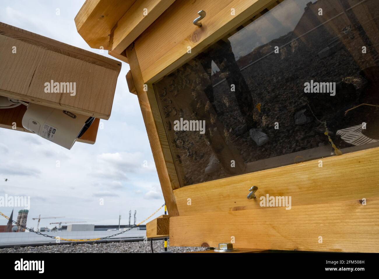 Munich, Germany. 06th May, 2021. A webcam is pointed at the entrance of a  high-tech beehive on the roof of the Bavarian Digital Ministry. With the  help of a network of digitally