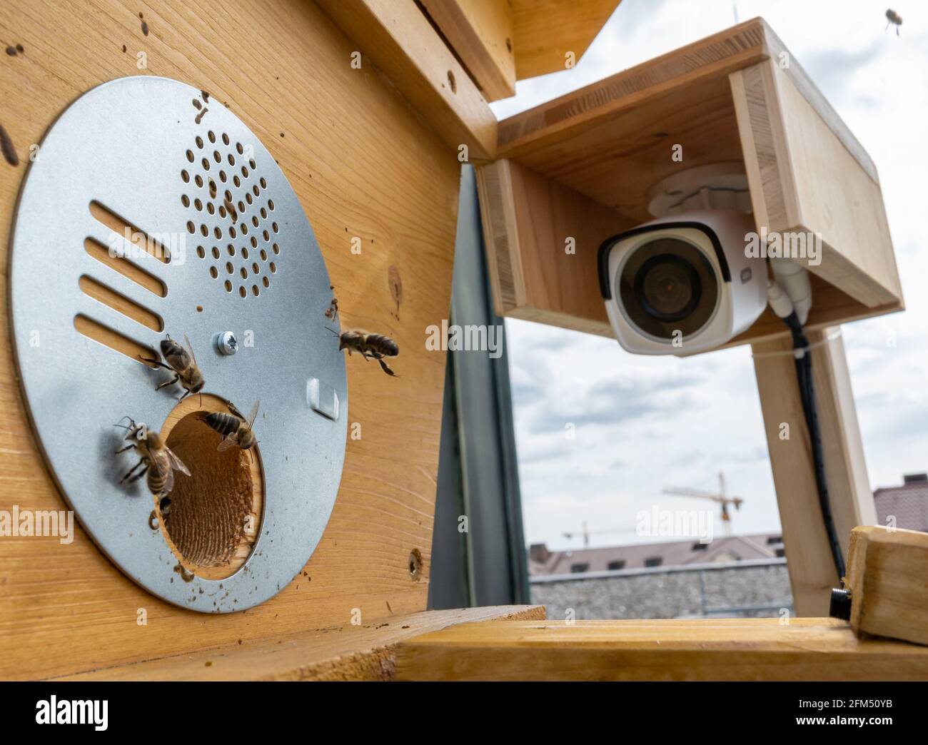 Munich, Germany. 06th May, 2021. A webcam is pointed at the entrance of a  high-tech beehive on the roof of the Bavarian Digital Ministry. With the  help of a network of digitally