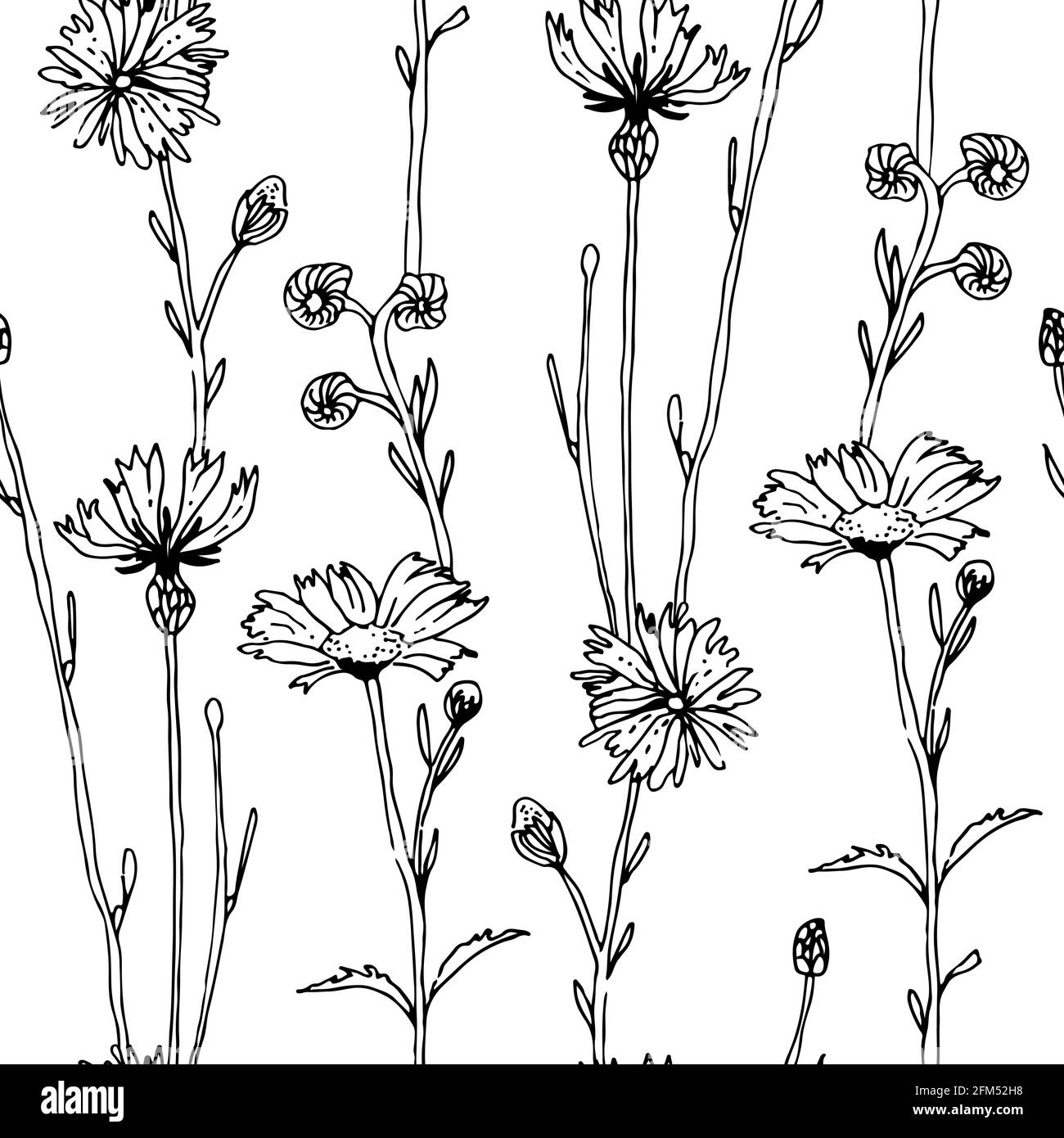 Herbs and flowers seamless vector pattern, isolated on white background ...