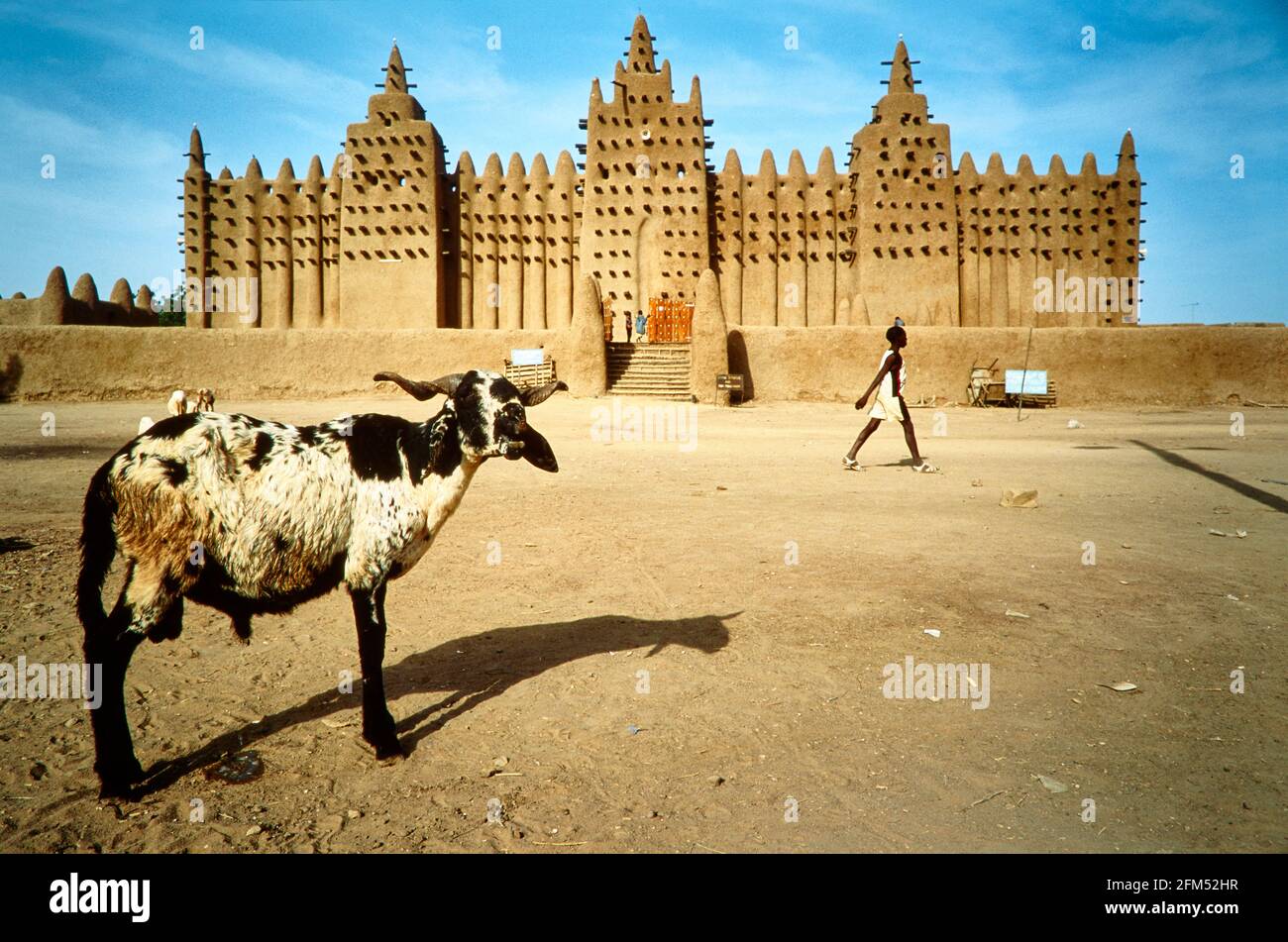 A billy goat and a youth on the large square in front of the world's largest mud mosque in Djenne. 15.11.2003 - Christoph Keller Stock Photo