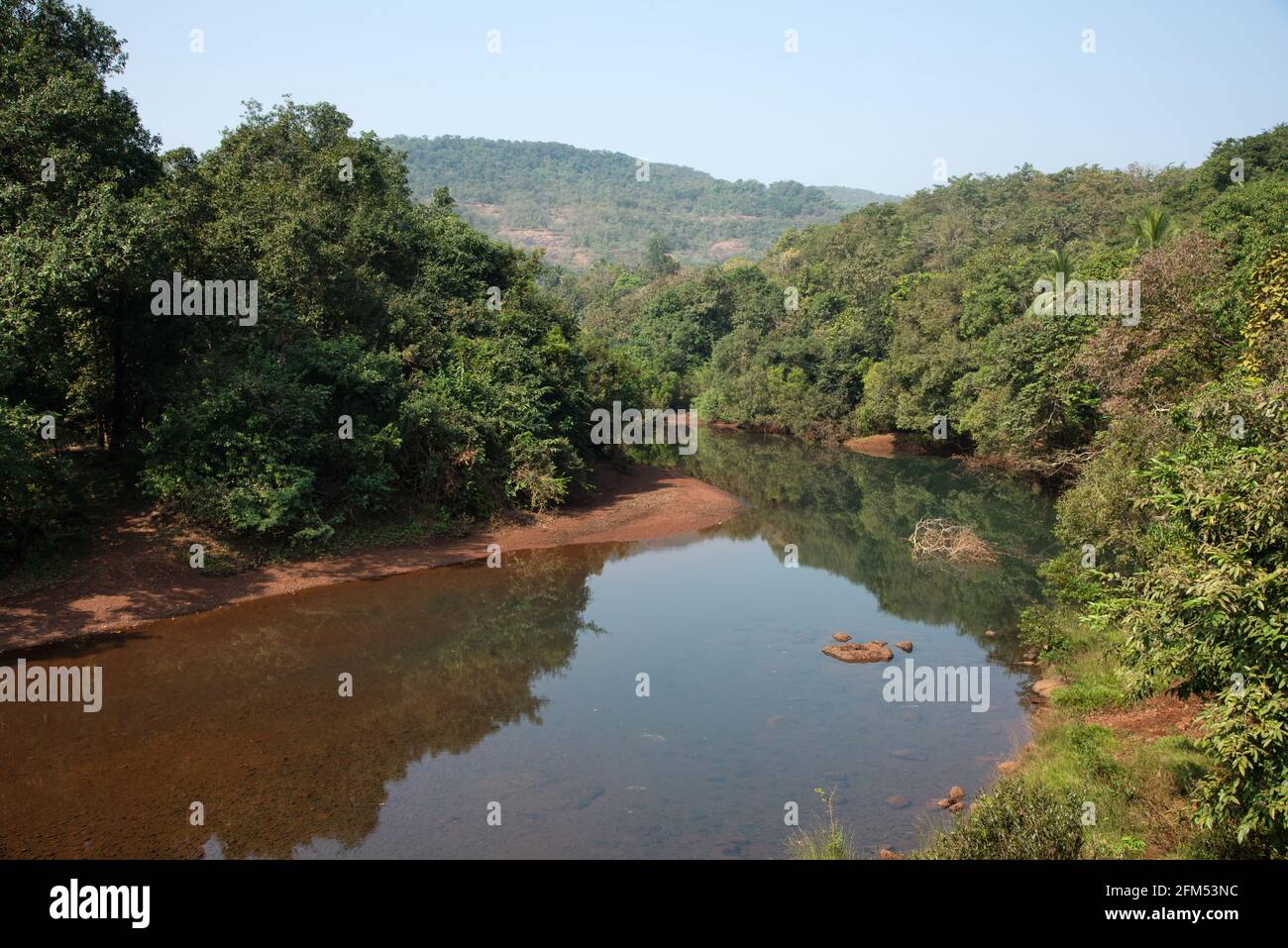 Kotjai river surrounded by dense forest, Dapoli, Konkan, Maharashtra, India Stock Photo