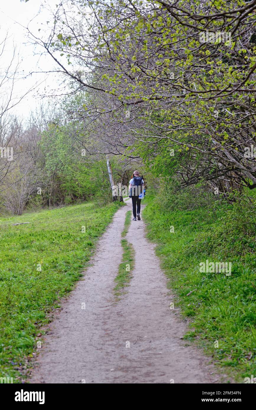 A young lad walking on the North Downs Way Footpath at White Downs on a spring day in the Surrey Hills near Dorking England UK Stock Photo