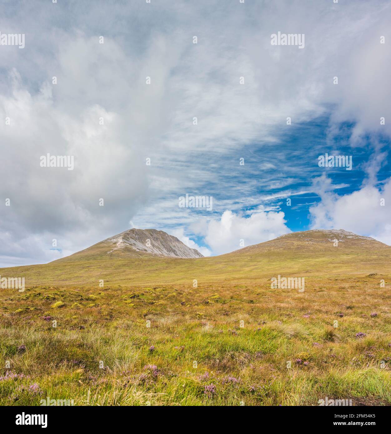 The western end of Muckish Mountain (An Mhucais), part of the Derryveagh Mountain range, Barnanageeha, County Donegal, Ireland Stock Photo