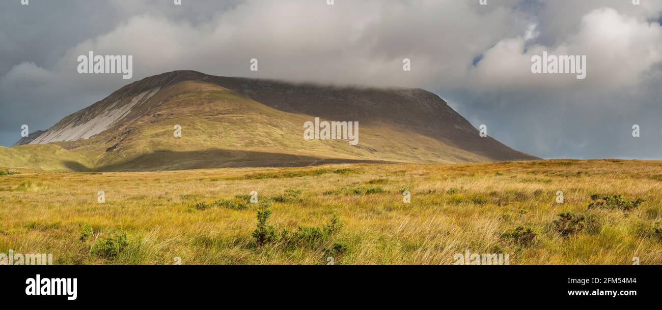 Muckish Mountain (An Mhucais), part of the Derryveagh Mountain range, Barnanageeha, County Donegal, Ireland Stock Photo