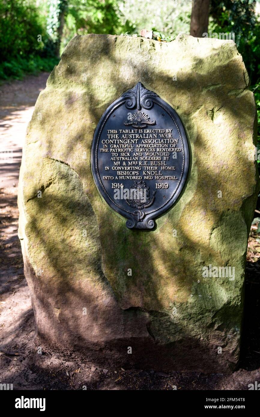 the hidden garden at Bishops Knoll Bristol, part of Woodland trust. Memorial to WW1 hospital Stock Photo