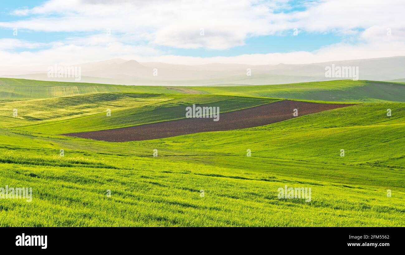 Cultivated green farm fields with blue sky and clouds Stock Photo - Alamy