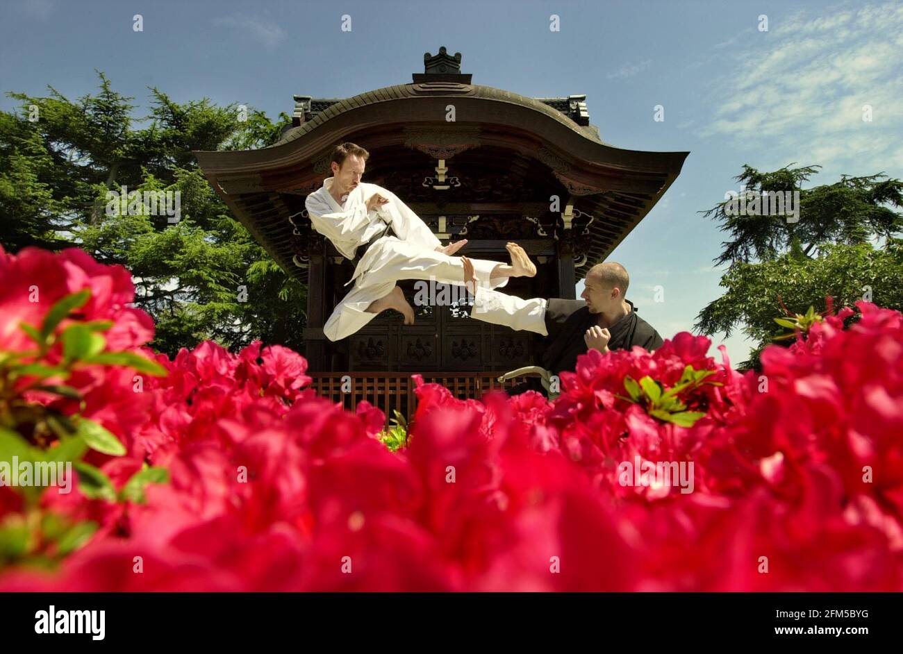 Kempo hi-res stock photography and images - Alamy