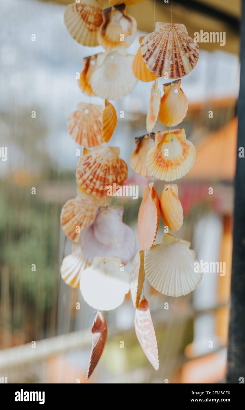 Vertical closeup of a shell garland, outside a house during