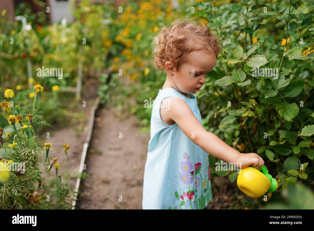 Little child girl watering plants and flowers in a garden Stock Photo ...