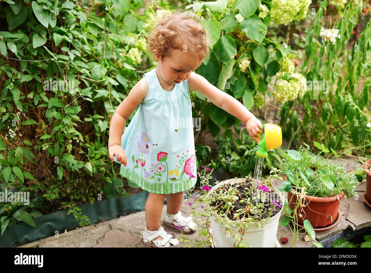 Little child girl watering plants and flowers in a garden Stock Photo ...
