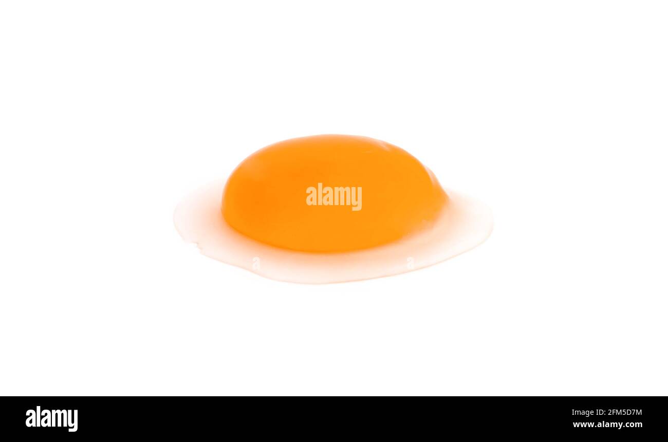 egg on white background Stock Photo Alamy