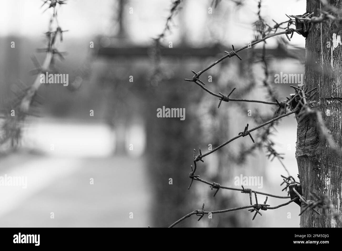 Close-up of a rusty barbed wire fence surrounding a detention, concentration and extermination camp, focus in the background, black and white Stock Photo