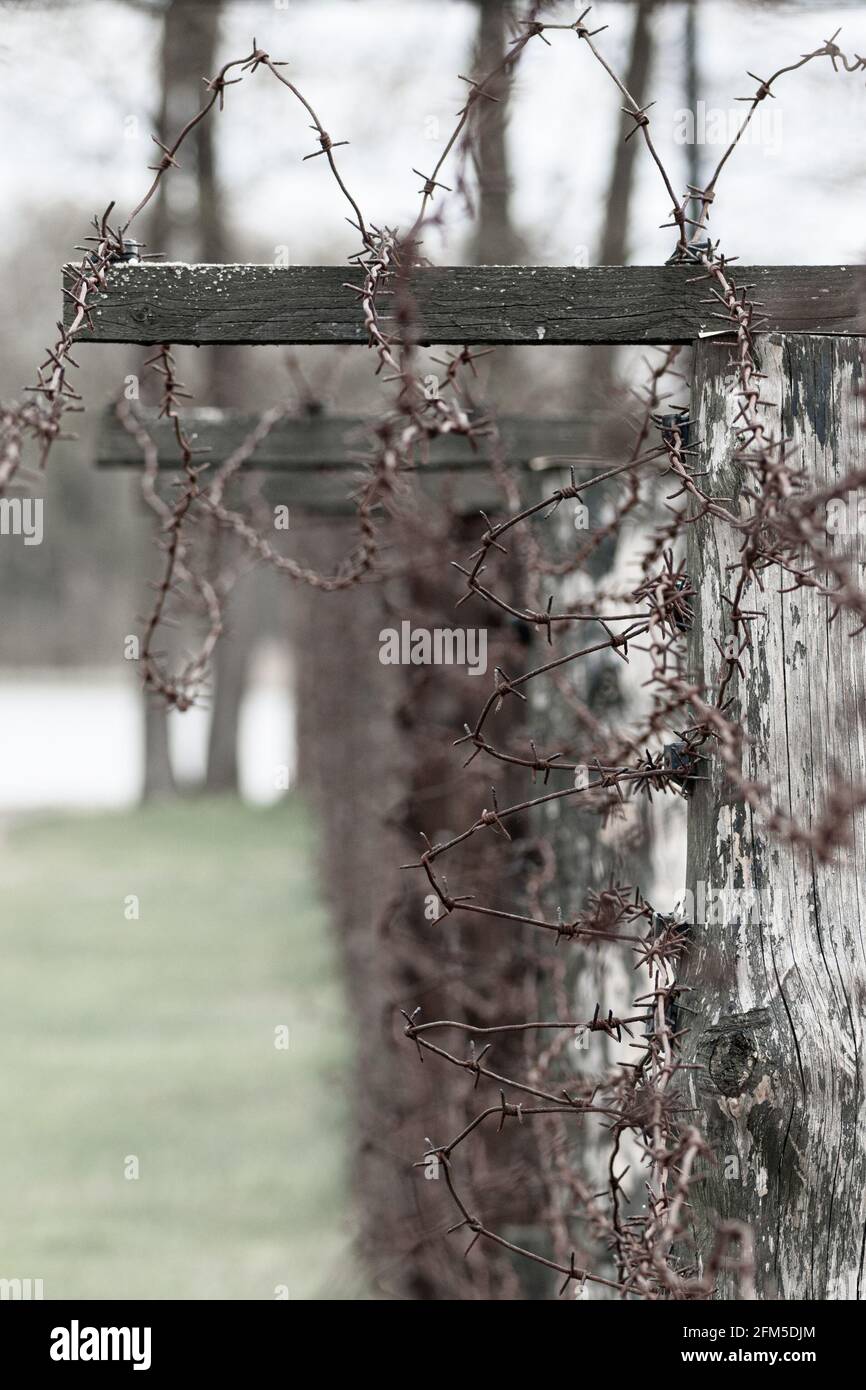 Close-up of a rusty barbed wire fence surrounding a detention, concentration and extermination camp, focus in the background, vintage color, vertical Stock Photo